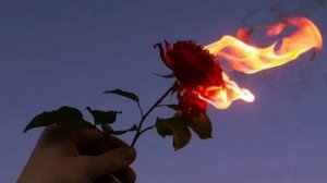 Music version Dusha moya polna Душа моя полна