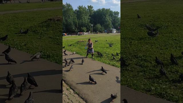 Откуда столько гулек? смотреть онлайн