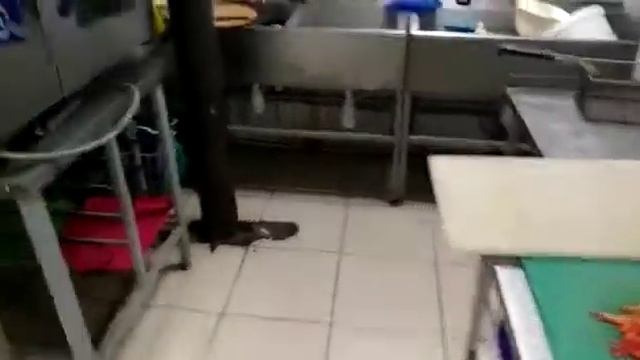 В продаже готовый бизнес в Казани: Рентабельное пищевое производство с налаженной доставкой еды смотреть онлайн