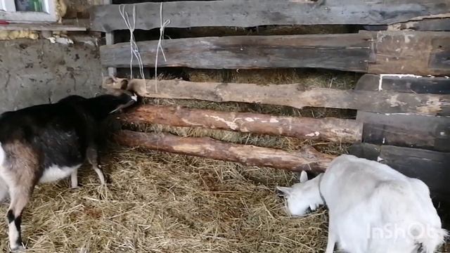 КЕКС ДОМАШНИЙ?С БАНАНАМИ?ПРОСТЕЙШИЙ РЕЦЕПТ смотреть онлайн