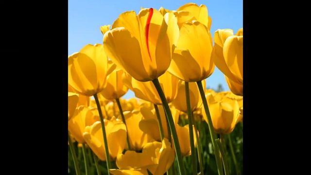 сколько лет природа жила тада смотреть онлайн