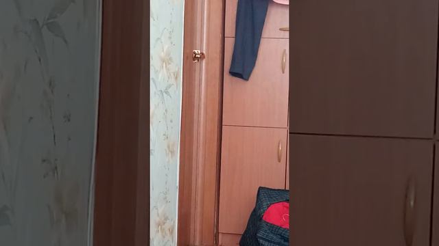 Дверь сама открывается смотреть онлайн
