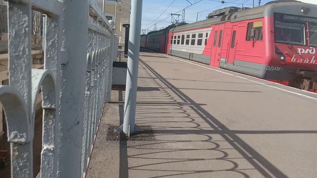 Электропоезд ЭД4М-0438 на станции Ораниенбаум-1.Сообщением Калище-Санкт-Петербург Балтийский смотреть онлайн