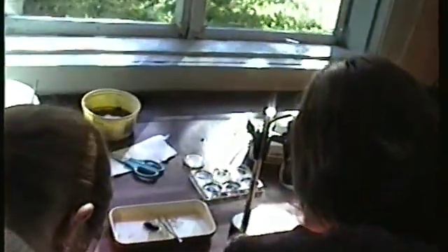 Лето — 2001. Ряжков. Дети в Сухой делают черновую разборку смотреть онлайн