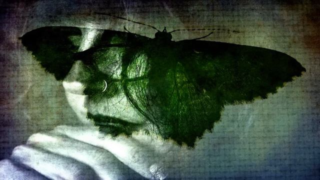 Mike Pinder - Free As A Dove смотреть онлайн