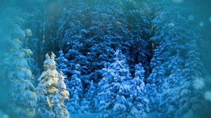 Футаж. Зимний пейзаж 44