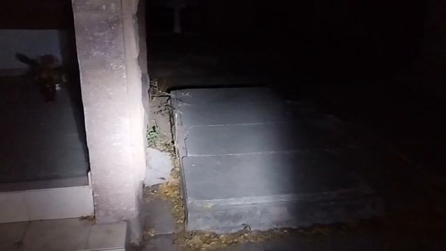 EXPLORANDO EL PANTEÓN, NOS DIMOS BUEN SUSTO😱