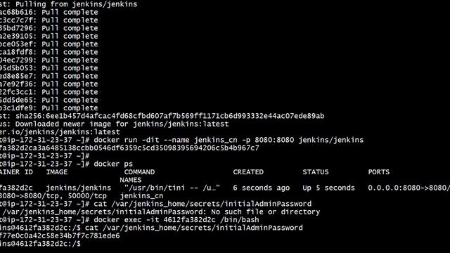 JenkinsConfigurationInDocker смотреть онлайн