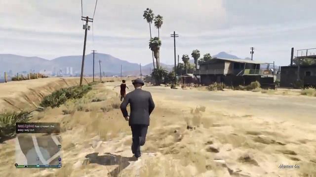 GTA V : Globoxxe and I vs. A Invincible NPC ? смотреть онлайн