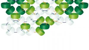 Плетение бисерной сетки колечками в две иглы. Бисерный мульт