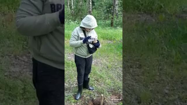 Копали копали а в итоге выкопали...