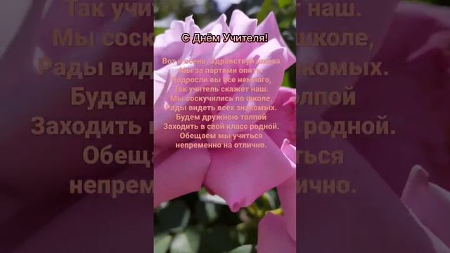 С Днём Учителя/5 октября смотреть онлайн