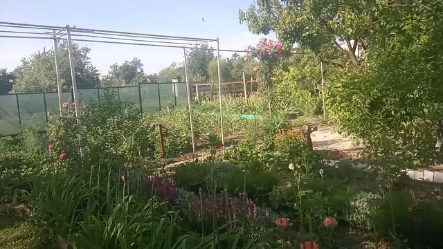 Обзор парка Укромный. Симферополь.10.06.2023 смотреть онлайн