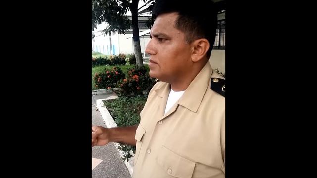 El pito marinero quien lo sabrá tocar (ESMENA) смотреть онлайн