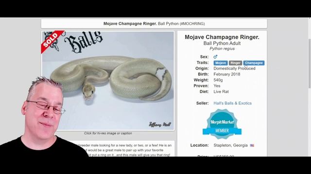 The Ball Python 'Ringer' смотреть онлайн