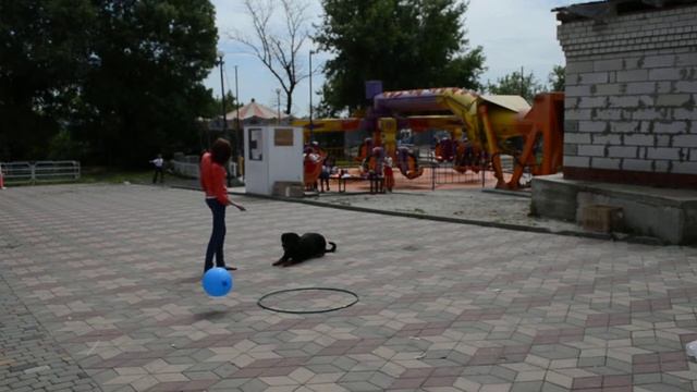 Фристайл показательные выступления смотреть онлайн