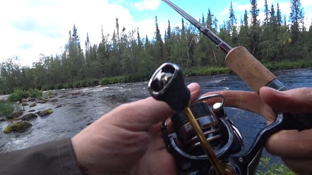 РЫБАЛКА КОЛЬСКИЙ #1 - Первая КУМЖА - Рыболовный ПОХОД на Кольский полуостров - РЫБАЛКА на РЕЧКЕ смотреть онлайн