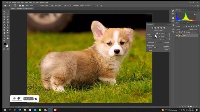 How to use clone stamp tool properly in photoshop 2023 смотреть онлайн