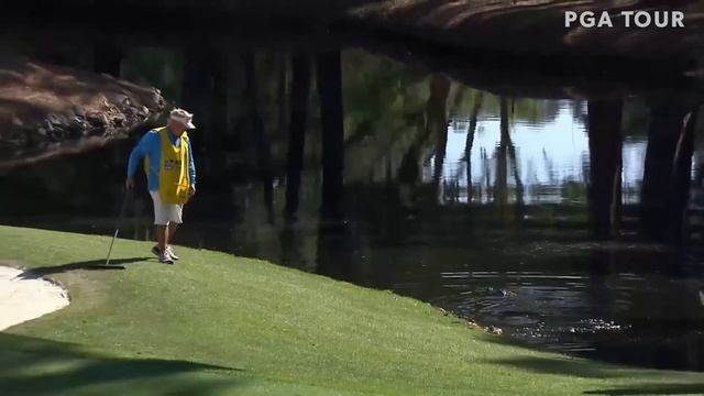 Gators. Snakes. Dragons?! Best reptile encounters on PGA TOUR смотреть онлайн