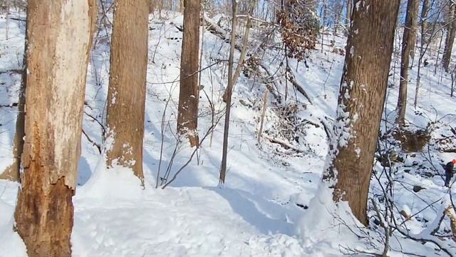 Windy Run Trail - Snow and Icy Waterfall [walking tour] смотреть онлайн
