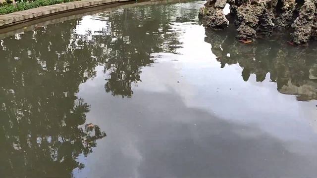 Стамбул Дворец Бейлербей/Beylerbeyi Sarayı/Подпольная съёмка внутри смотреть онлайн