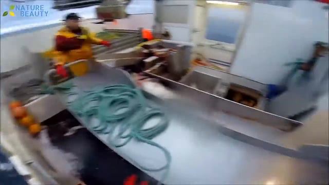 Ловля и переработка рыбы прямо на корабле (Catching and Processing Fish) смотреть онлайн