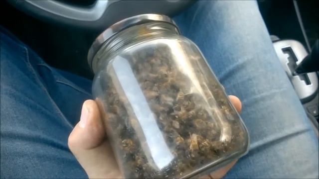 "ПОДМОР" смотреть онлайн