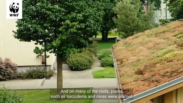 Urban Nature-based Solutions: Buildings And Neighbourhoods