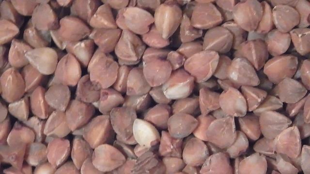 Почему в России скупили гречку / Why did they buy buckwheat in Russia смотреть онлайн