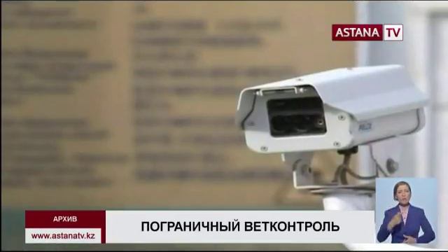 На казахстанско-кыргызской границе выявлено 700 тонн незаконного груза смотреть онлайн
