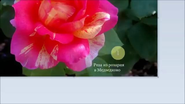 Как подписать изображение в Paint смотреть онлайн