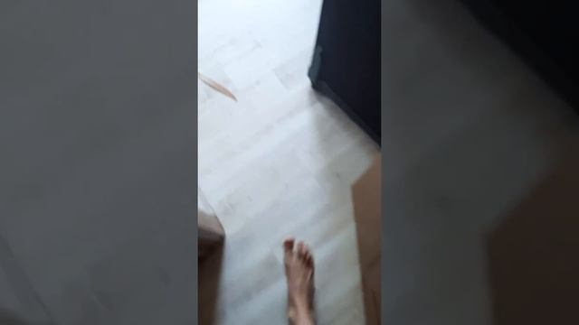 Как вызвать гномика исполняющего желания. смотреть онлайн