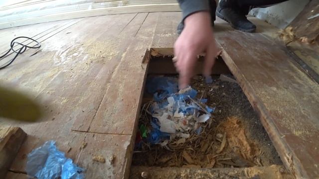 Срываю пол, а там... Начали ремонт комнаты! Сажаем семена. смотреть онлайн