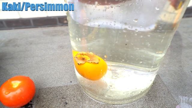 Float or Sink Challenge for Kids with Fruits and Vegetables! смотреть онлайн