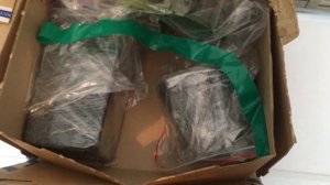 Лимон Ванильный и Лаймкват Юстис. Обзор посылки, распаковка