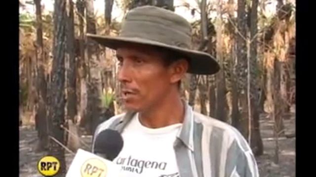 Quema de Copernicia Tectorum en Eco Finca Rio de Janeiro смотреть онлайн