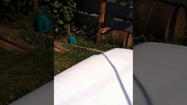 Воздушный сигнал смотреть онлайн