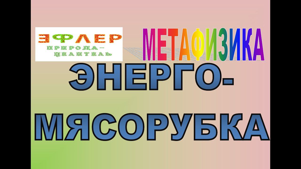 М29 - ЭНЕРГЕТИЧЕСКАЯ МЯСОРУБКА . Синтез физики и эзотерики. Энерго-информационные подключения. смотреть онлайн