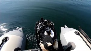 Меркурий(Тохатсу) 4-5-6. Регулировка карбюратора на 4 тактном моторе