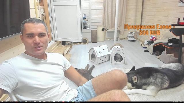 Наши любимые хвостики. смотреть онлайн