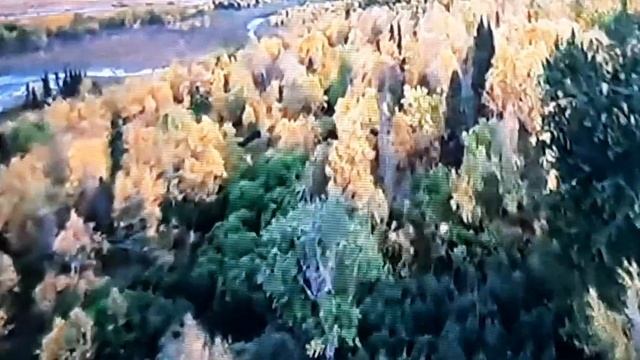 Смилуйся надо мной и дай мне Твоё сердце смотреть онлайн