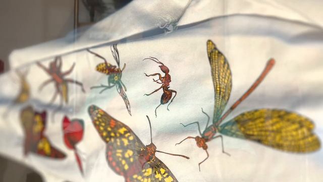 Nike ACG “Insects” Long-sleeve Tee. My New FAVORITE Streetwear? How does ACG fit? Try-on! смотреть онлайн