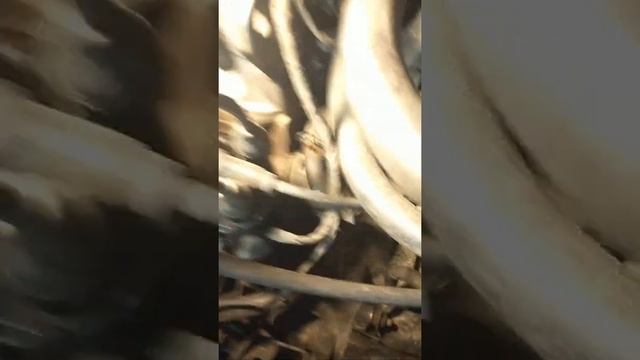 метки ГРМ passat b3 1.8 смотреть онлайн