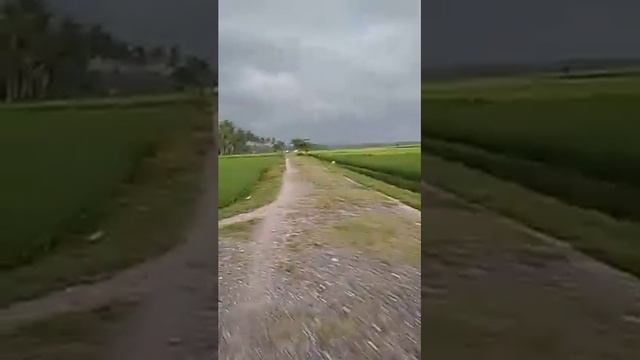 Iki jenenge motor mabur sam смотреть онлайн
