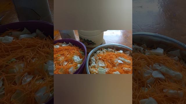 Ашытып тұздалған қырыққабат.Ерекше қышқыл қырыққабат. смотреть онлайн