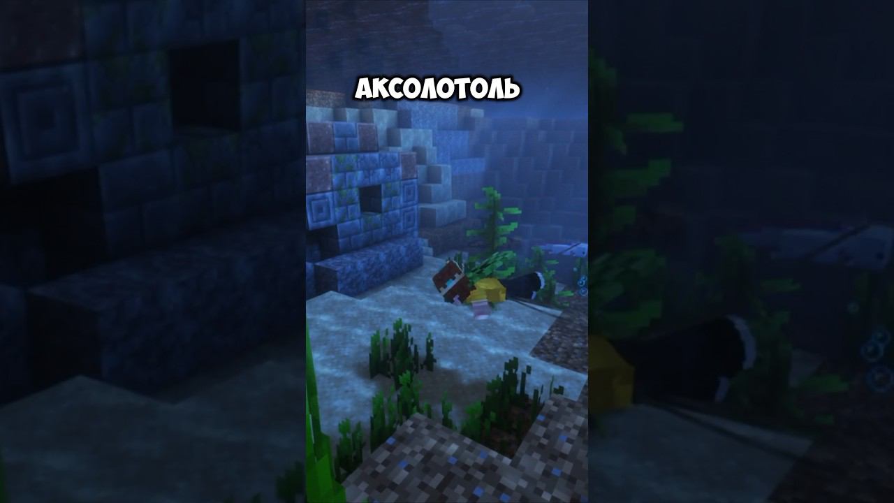википедия мобов #майнкрафт #minecraft #приколы смотреть онлайн