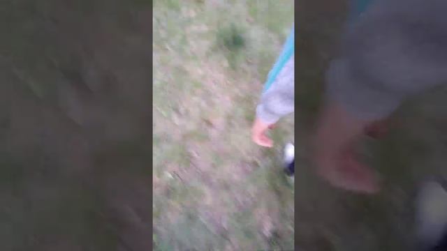 Идём сдавать Илью на органы смотреть онлайн