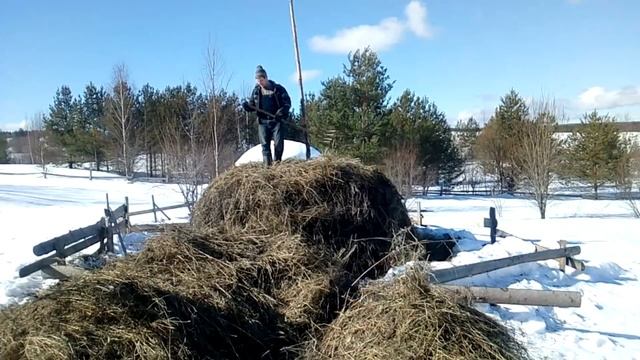 Тоскаем сено на сеновал. Жизнь в деревне смотреть онлайн