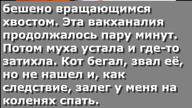 Чербелоидный подкаст #52 - Ленивая ракета смотреть онлайн
