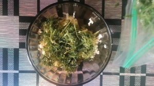 Не спешите выбрасывать мелкий картофель. Отличное блюдо из картофеля.